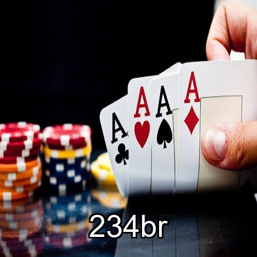 Interface do Aplicativo 234br - Design Premium e Intuitivo